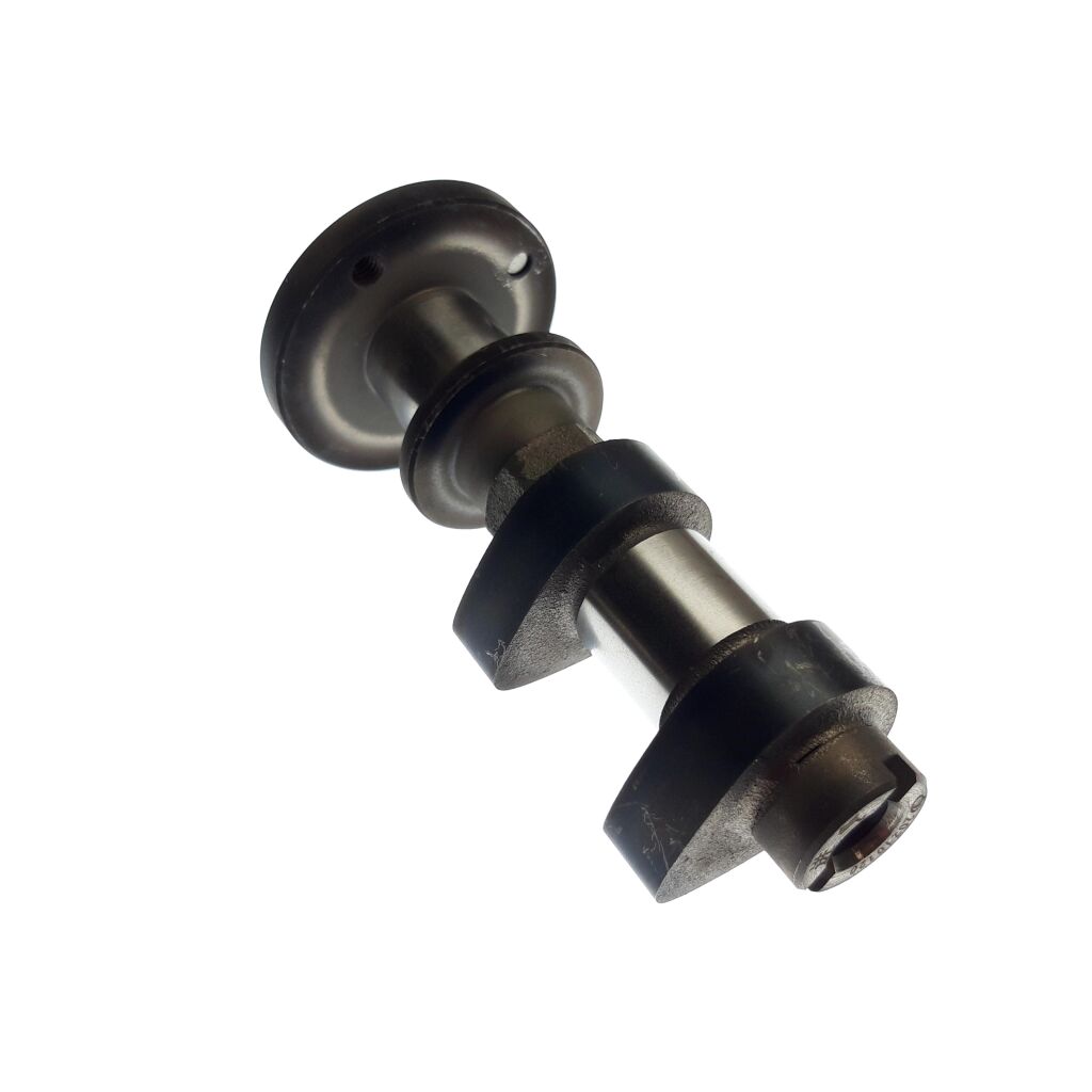 Intake camshaft assembly - Segway