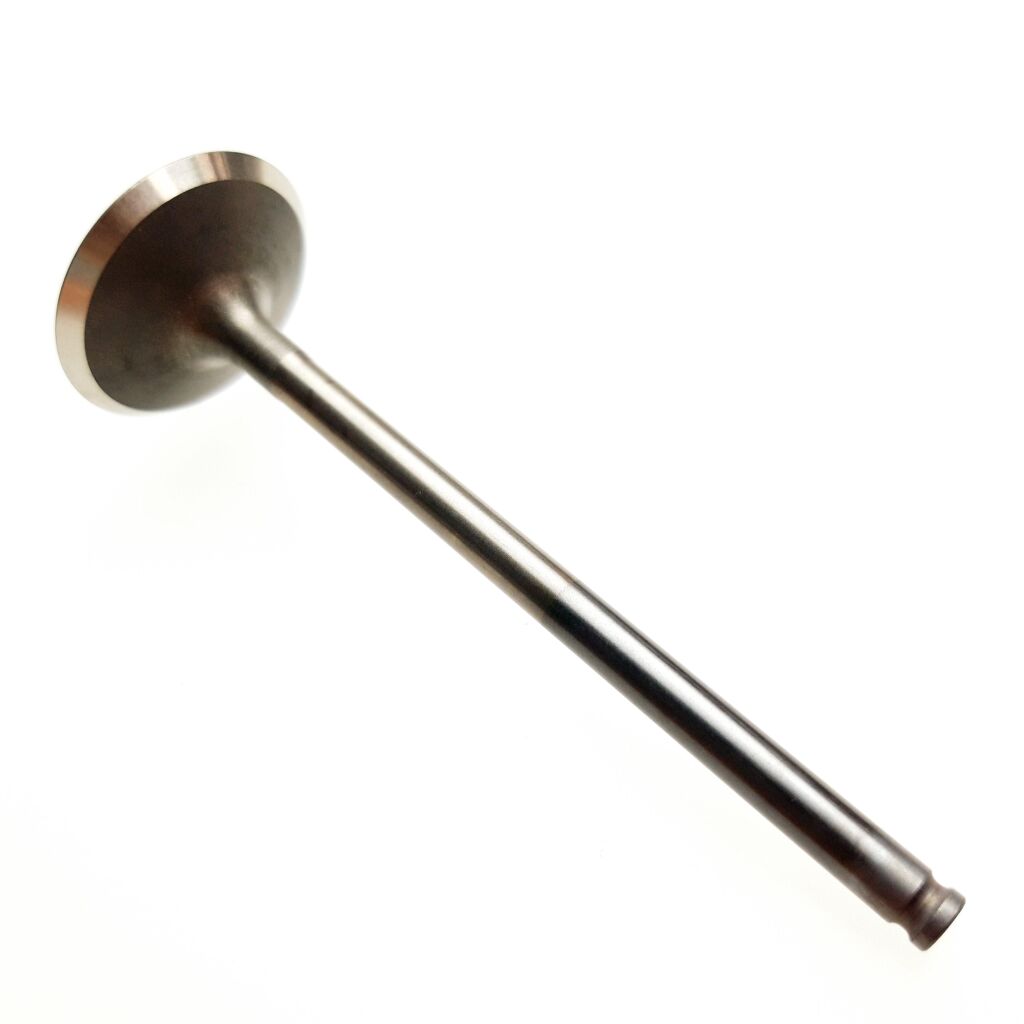 Intake valve - Segway
