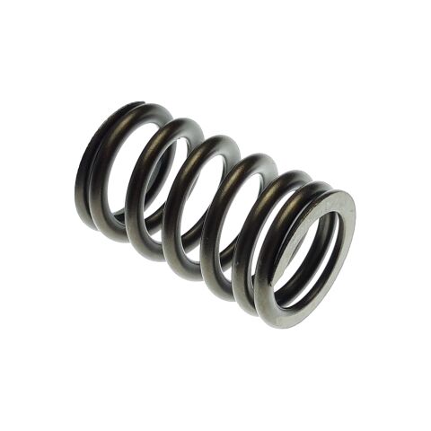 Valve spring - Segway