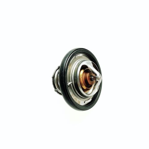 Termostat 82°C - Segway