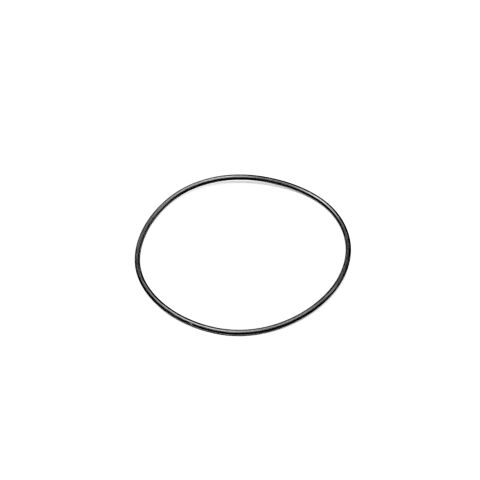 O-ring 67.9×2.2 - Segway