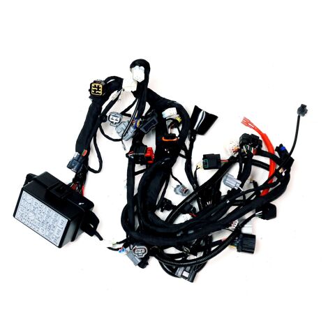 Main cable (long version) - Segway