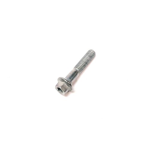 Bolt M6x30 – Segway