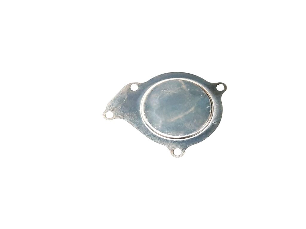 Throttle Body Cap -  TGB