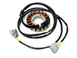 Magneto Stator Assembly for Segway